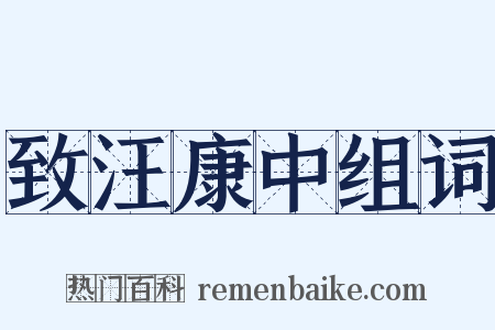 致汪康中组词是什么意思的图片
